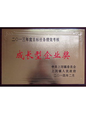 Growth enterprise Award
